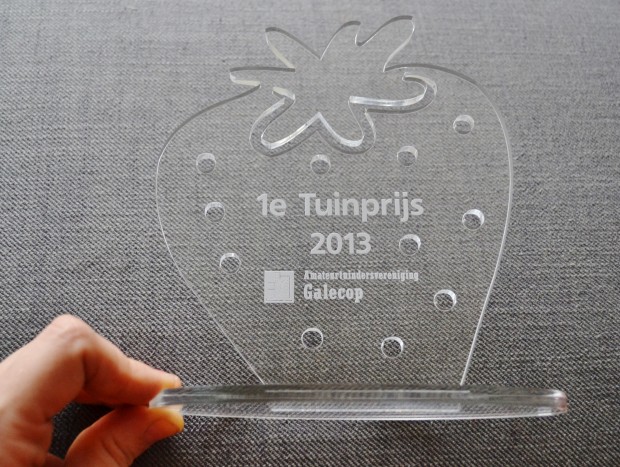 Award perspex