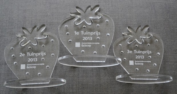 Award plexiglas