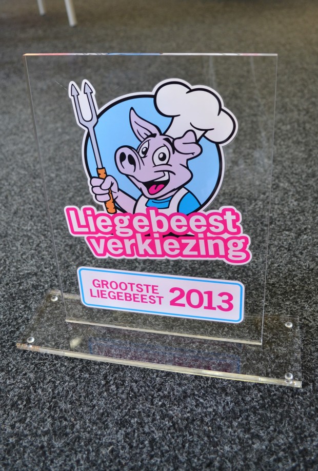 Liegebeest 1